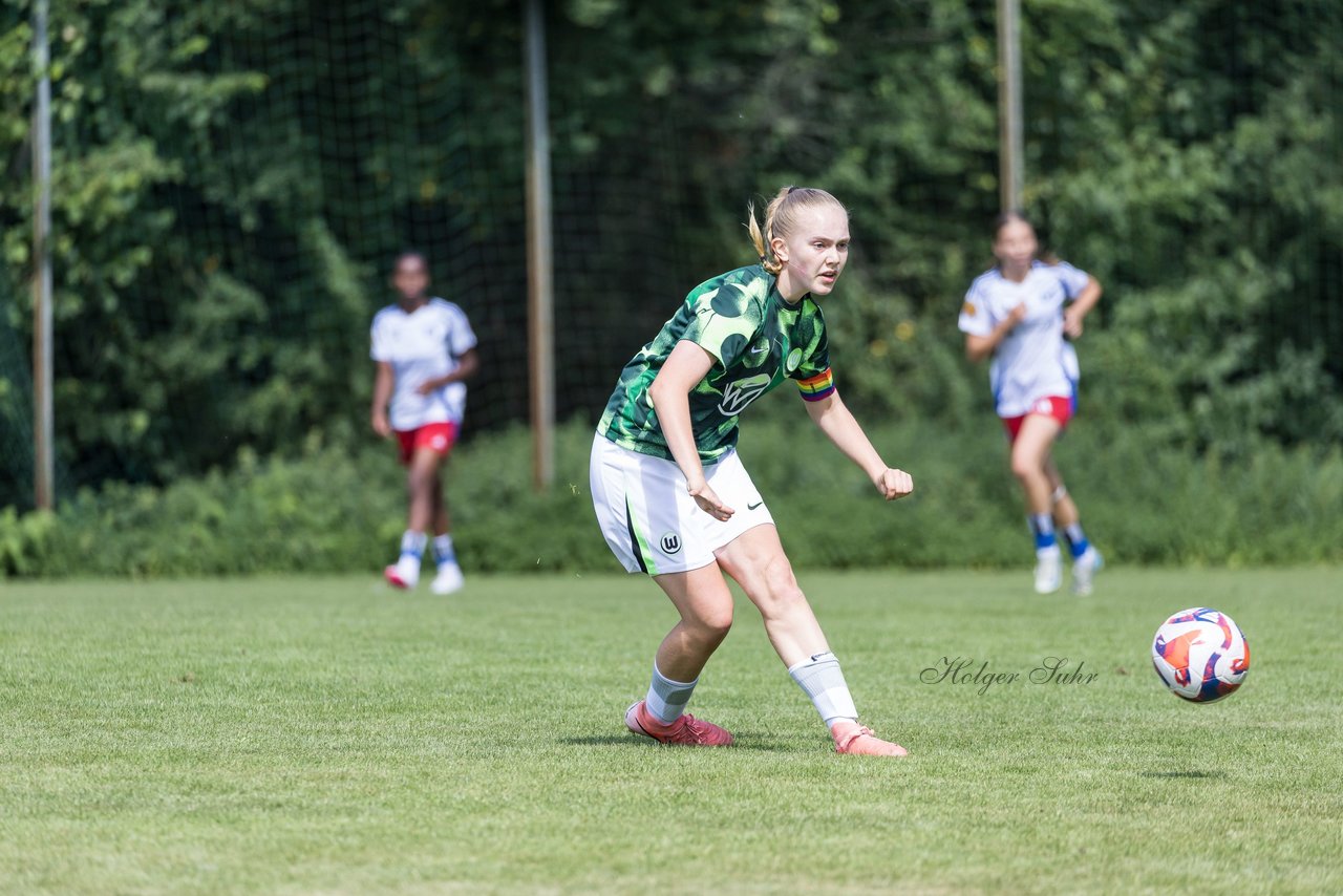 Bild 344 - wBJ Hamburger SV - VfL Wolfsburg : Ergebnis: 5:1